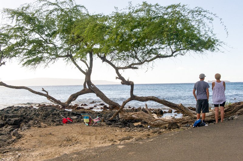 20140106_154328 D3.jpg - Driving from Wailea south to Makera Landing Beach and Park, Maui